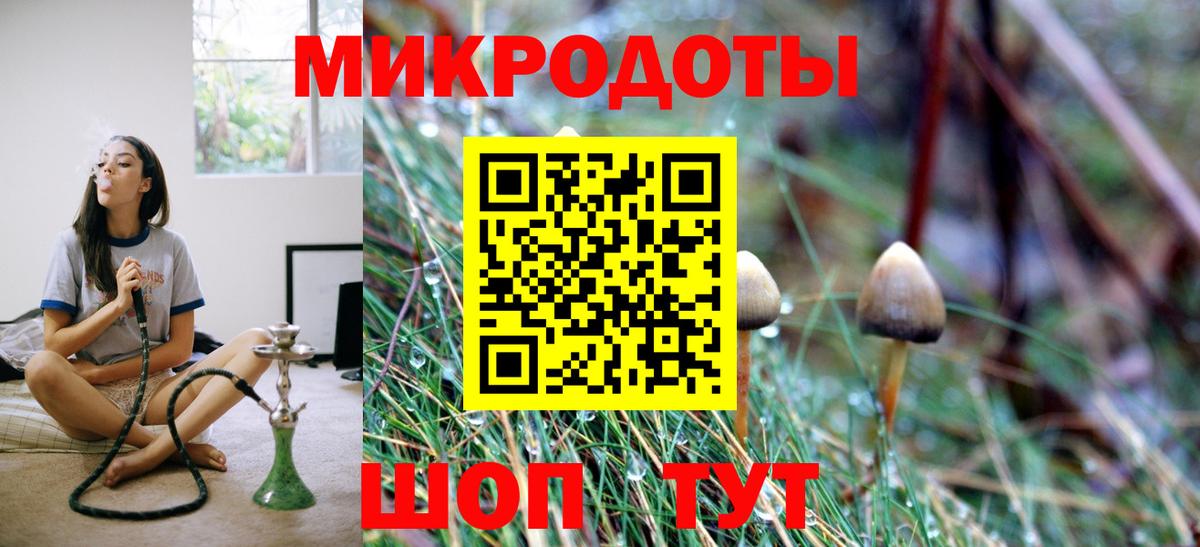 Псилоцибиновые грибы мицелий Видное