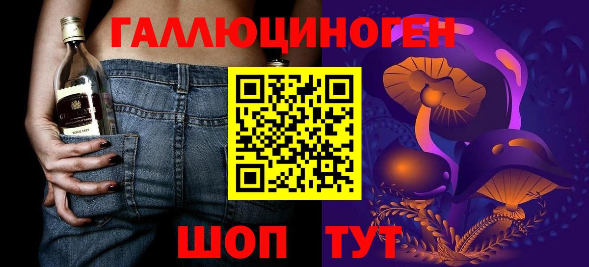 Галлюциногенные грибы Psilocybe  Вход с VPN  Видное 